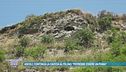 Ascoli, continua la caccia al felino: "Potrebbe essere un puma"