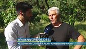 Ascoli, caccia al felino: la testimonianza