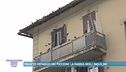 Palazzo ostaggio dei piccioni: la rabbia degli inquilini