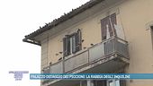 Palazzo ostaggio dei piccioni: la rabbia degli inquilini