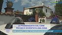 Bimbi azzannati, i vicini: "Rottweiler aveva già ucciso un cane"
