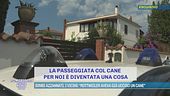 Bimbi azzannati, i vicini: "Rottweiler aveva già ucciso un cane"