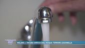 Milano, l'incubo arriva dall'acqua: terrore legionella