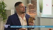 Hotel a quattro zampe: lusso e coccole per cani e gatti