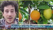 Influencer col pollice verde: i consigli arrivano dal web