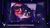 Rosita Celentano: l'amore per Morphine
