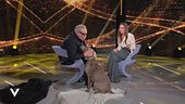 Guillermo Mariotto: "La mia amata cagnolina"
