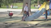 Il caso del bambino tolto alla famiglia affidataria