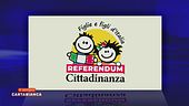 Raccolta firme per il referendum sulla cittadinanza, il commento di Mauro Corona