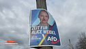 L'estrema destra avanza in Germania con il supporto di Musk