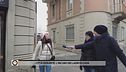 Città violenze: l'incubo dei ladri di casa
