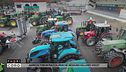 Agricoltori in piazza: perchè nessuno dà loro voce?