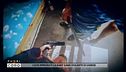 Caos immigrati: le baby gang violente di Varese