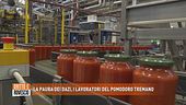 La paura dei dazi, i lavoratori del pomodoro tremano