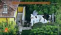 Il giardino dei neonati sepolti: arrestata la madre Chiara Petrolini