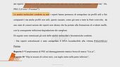 Il giallo di Pierina Paganelli: il DNA non incastra Louis