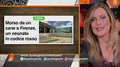 Neonato in codice rosso per il morso di un cane a Firenze