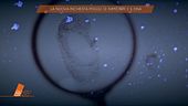 Il delitto di Garlasco: le impronte e il dna