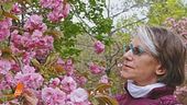 Il giallo di Liliana Resinovich: i coltelli di Sebastiano