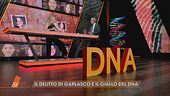 Delitto di Garlasco e il giallo del DNA