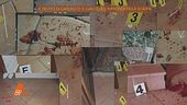 Delitto di Garlasco: il giallo dell'impronta della scarpa