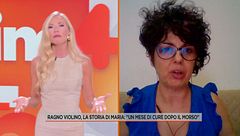 Ragno violino, la storia di Maria