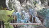 Neonati sepolti in giardino, Chiara e le ricerche ossessive sul web