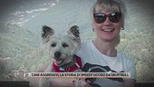 Cani aggressivi, la storia di Speedy ucciso da un pitbull