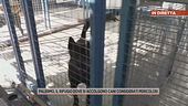 Palermo, il rifugio dove si accolgono cani considerati pericolosi