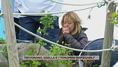Trevignano, Gisella e i "fenomeni inspiegabili"