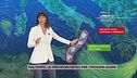 Maltempo, le previsioni meteo per i prossimi giorni