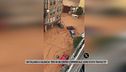 Alluvione Valencia, le auto trascinate dall'acqua lungo le strade