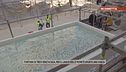 Fontana di Trevi senz'acqua, per il lancio delle monete spunta una vasca