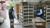 Mense da incubo, i sopralluoghi dei Nas