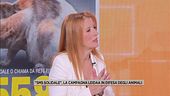 "Sms solidale", la campagna Leidaa in difesa degli animali