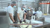 Bari, come si lavora il latte per i formaggi