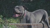 Cani, Lombardia propone un patentino per alcune razze