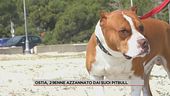 Ostia, 29enne azzannato dai suoi pitbull