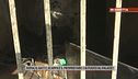 Roma, il gatto scappa e il proprietario dà fuoco al palazzo