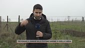 Gisella Cardia, in diretta da Trevignano
