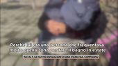 Nataly, le nuove rivelazioni di una vicina sul compagno