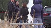 Palermo, 85enne morto sbranati da cani corso
