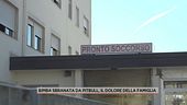 Bimba sbranata da pitbull, il dolore della famiglia