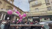 Bimba sbranata da pitbull, giallo sulla casa sotto sequestro ripulita