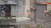 Terremoto ai Campi Flegeri, gli aggiornamenti da Bagnoli