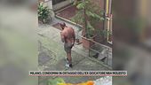 Milano, condominio ostaggio di un ex giocatore Nba molesto