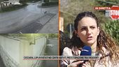 Lupi in Ciociaria, lupi avvistati nei centri abitati, preoccupazione tra i residenti