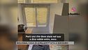 Bologna, casa di 6 mq affittata a 600 euro