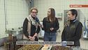 La lavorazione delle olive in salamoia, quali i rischi?