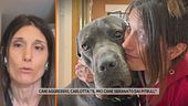 Cani aggressivi, Carlotta: "Il mio cane sbranato dai pitbull"